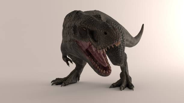 istock 3D rendering of Dinosaur , isolated on white background. 1214719376