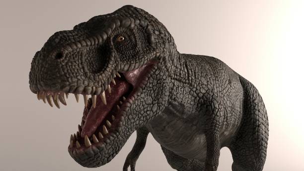istock 3D rendering of Dinosaur , isolated on white background. 1214719460