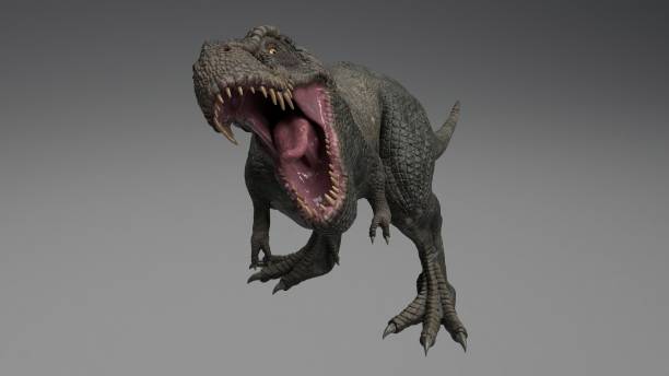 istock 3D rendering of Dinosaur , isolated on white background. 1214719499