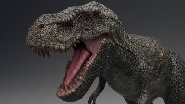 istock 3D rendering of Dinosaur , isolated on white background. 1214719513