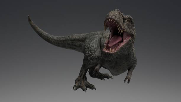 istock 3D rendering of Dinosaur , isolated on white background. 1214719544