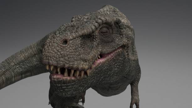 istock 3D rendering of Dinosaur , isolated on white background. 1214719566
