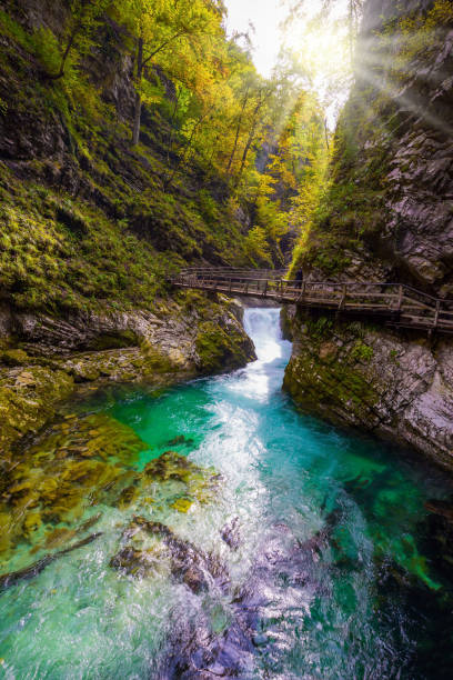 istock Sunset illuminates azure water 1214719583