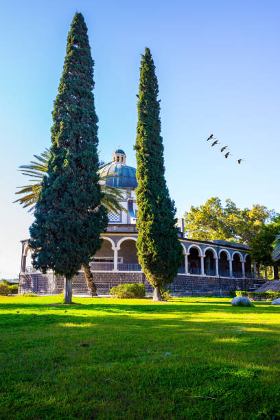The Mount Bliss in the Galilee