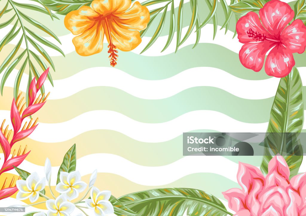 Vetores de Fundo Com Flores Tropicais E Folhas e mais imagens de  Ave-do-Paraíso - Planta - Ave-do-Paraíso - Planta, Banner web, Botânica -  Assunto - iStock