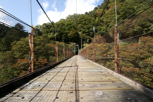 istock Okutama Mukashi Michi Hike - Japan 1214719936