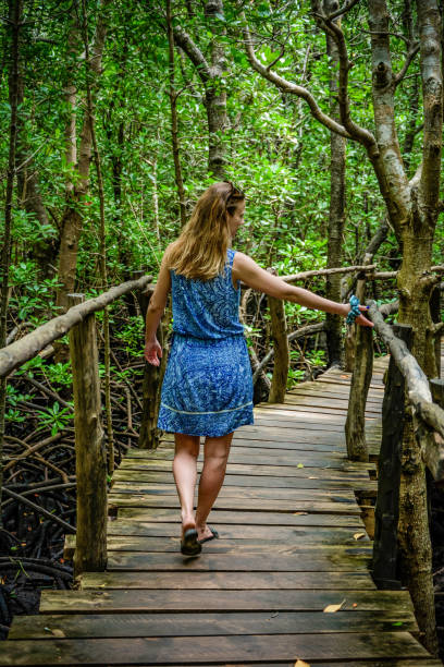 istock Young woman exploring mangrove forest 1214720169