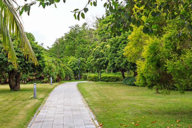 istock Stone Pathway in the Green Park 1214720487