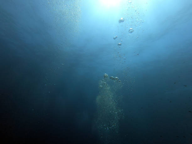 istock Beautiful Scenery in the Blue Sea, Underwater Ambience 1214721817