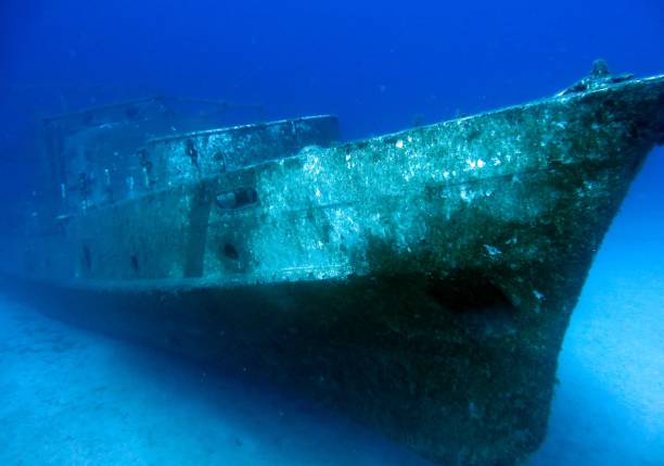 istock Diving on a sunken ship, underwater landscape 1214722048