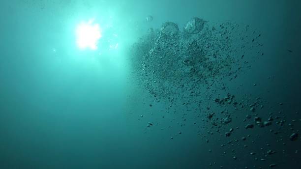 istock Underwater Scene Background, Diving, Sun light beams 1214722653