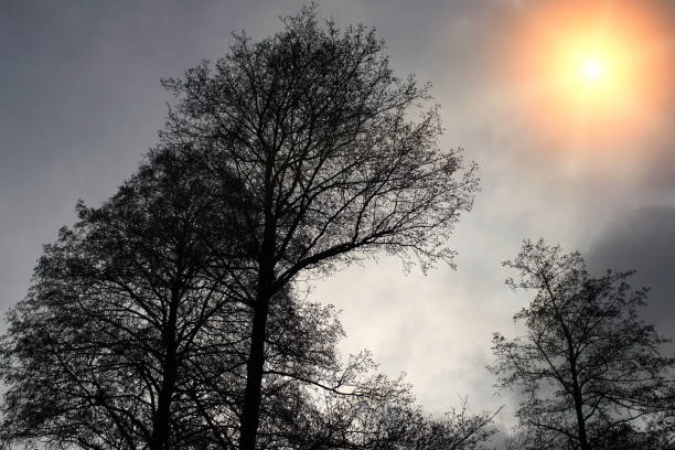 This are lens flares in landscape photography are partly intended for post-processing