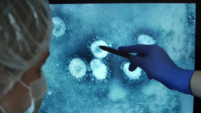 Team of scientists sits at computer monitor in laboratory and discusses photo of Coronovirus under microscope. Hands in medical gloves indicate virus on screen.