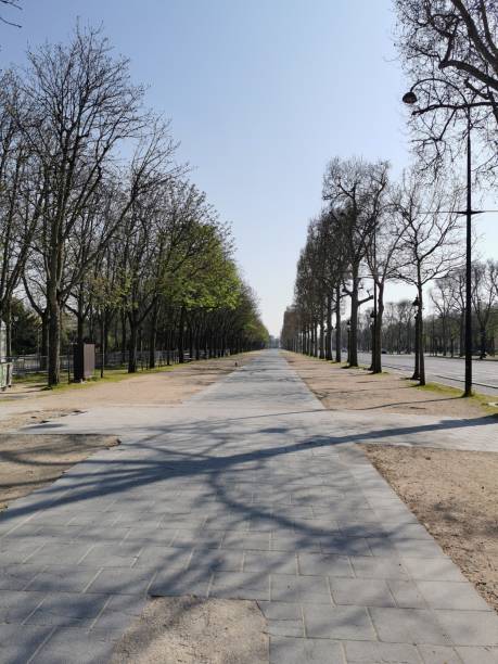istock Paris empty lifeless apocalypse person 1214727270