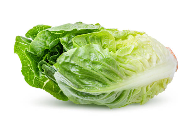 istock Green lettuce cabbage isolated on white background 1214728420