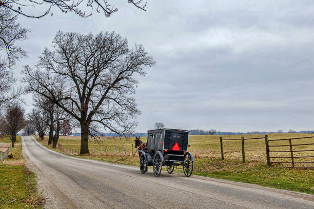 istock Amish Buggy on Rural Indiana Road 1214729212