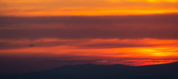 istock Beautiful colorful bright sunset sky with orange clouds. Nature sky background. 1214729763