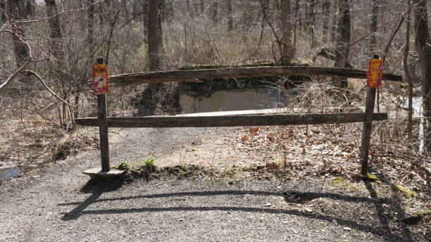 istock Fence in the middle of forest 1214730038