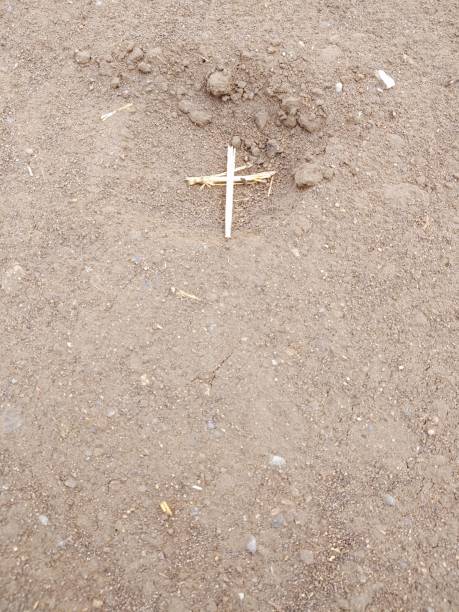 istock A straw cross in the sand 1214730774