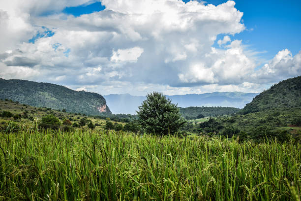 istock Inle Lake and countryside in Myanmar 1214736834