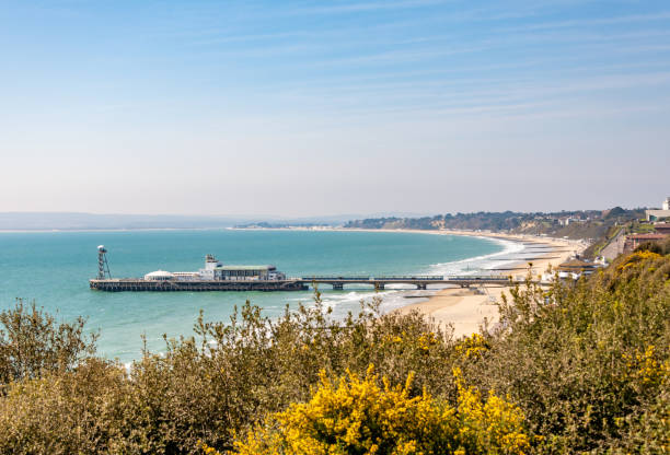 istock Bournemouth Pier and beach viewed from East Cliff 1214737271