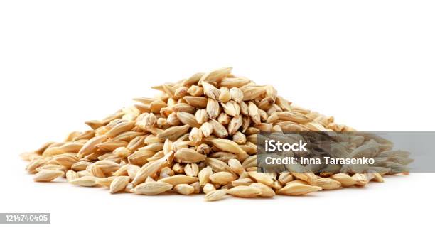 Barley Grain Heap Closeup On A White Isolated Stock Photo - Download Image Now - Barley, Seed, White Background