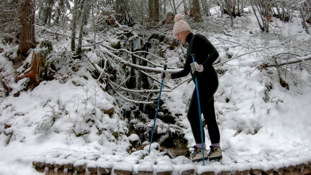 istock Female hiker walks across snow covered boardwalk 1214741844