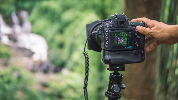istock Lifestyle Photo 1214741982