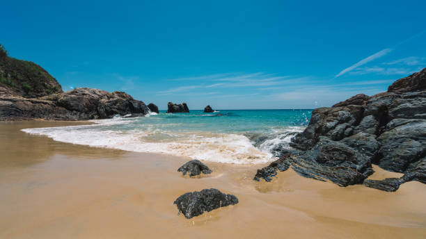 istock Holiday Photo 1214742042