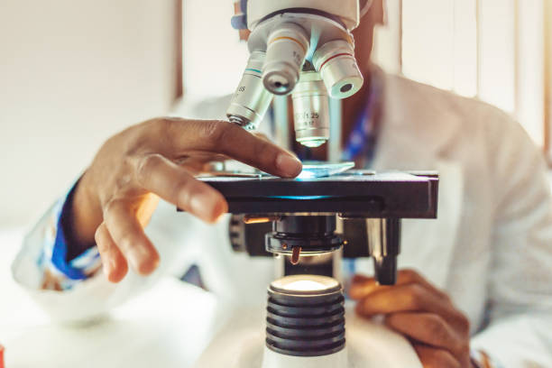 laboratorio medico, mani scienziato al microscopio per la chimica - microscopio foto e immagini stock