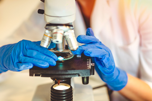 Mujeres científicas investigan y buscan microscopio en un laboratorio photo