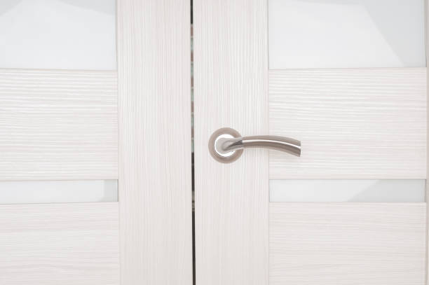 istock Closed door with metallic handle close up 1214743984