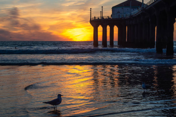 istock Colorful sunset at Manhattan Beach pier in winter 1214744558
