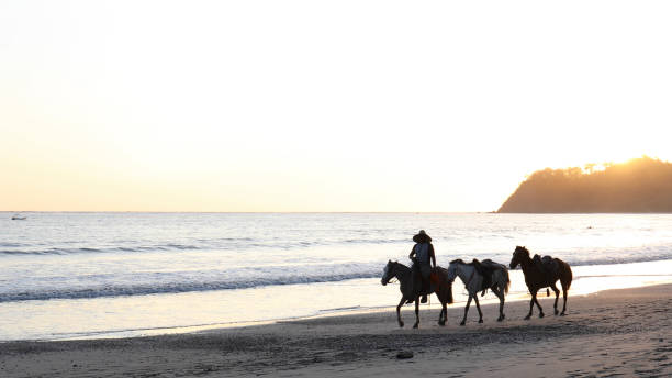 istock Man rides horse down beach at sunrise 1214746686