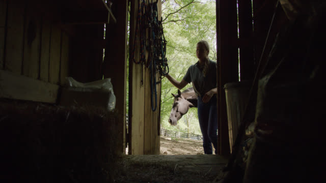 Slow Motion Shot of a Woman in Her Forties in Silhouette Opening the Door of a Barn with Her Horse behind Her on a Sunny Day