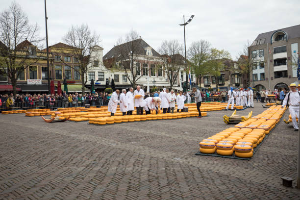 Typical cheese market in the city of Alkmaar in Netherlands Alkmaar, Netherlands - April 21, 2017: Typical cheese market in the city of Alkmaar in Netherlands, one of the only four traditional Dutch cheese markets still in existence and one of the country's most popular tourist attractions. cheese dutch culture cheese making people stock pictures, royalty-free photos & images