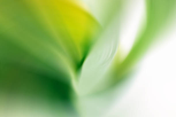 Blurred abstract gradient juicy natural green, yellow, white background
