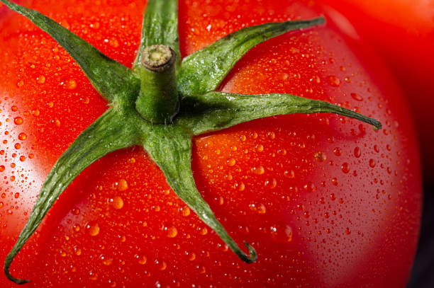 istock Close-up of fresh ripe tomato 1214751656