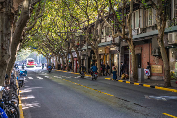 Tree lined luxury shopping street in the Xintiandi area of the French Concession on October 31, 2019 in Shanghai