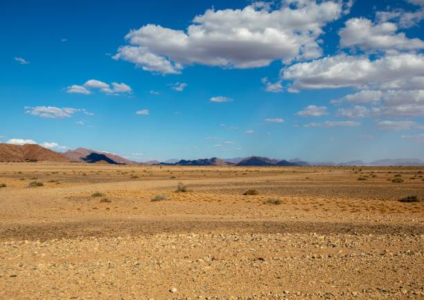 istock Landscape at the namib desert in Namibia 1214754988