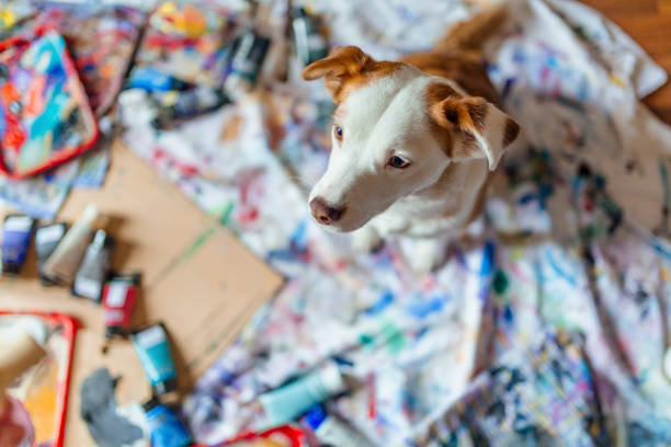 pequeño cachorro sentado - paint can fotografías e imágenes de stock