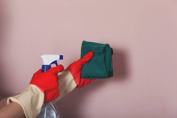 istock woman cleaning 1214756452