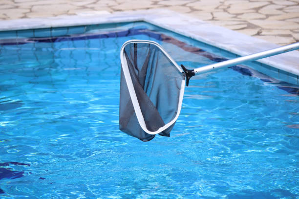 istock Scooping leaves out of a swimming pool 1214756797