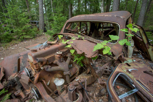 Scrap yard with old cars in forest in Ryd, Kyrko Mosse in Sweden stock photo