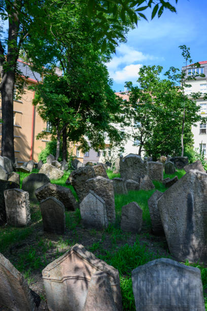 istock The Archaeological site in Prague 1214757816