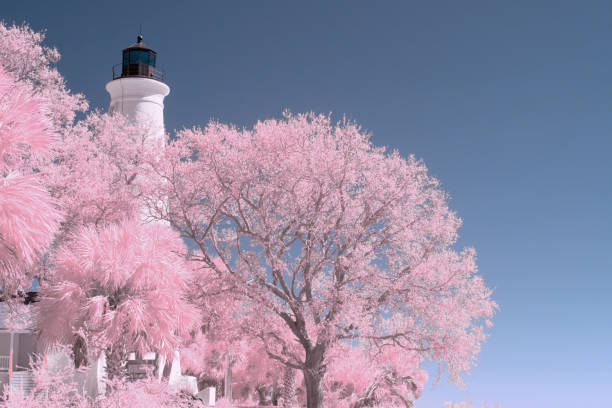 Saint Marks National Wildlife Refuge Lighthouse-III