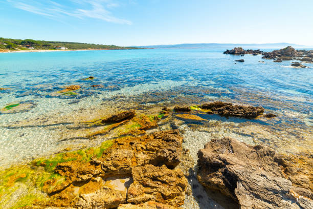 istock Rocky shore in Le Bombarde beach on a sunny day 1214763021