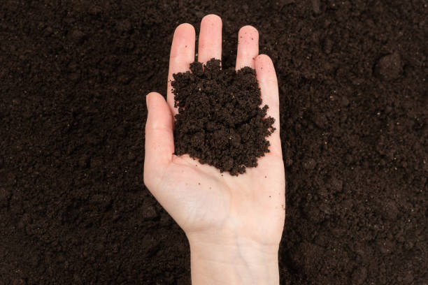 istock Woman hand holding ground. 1214763223