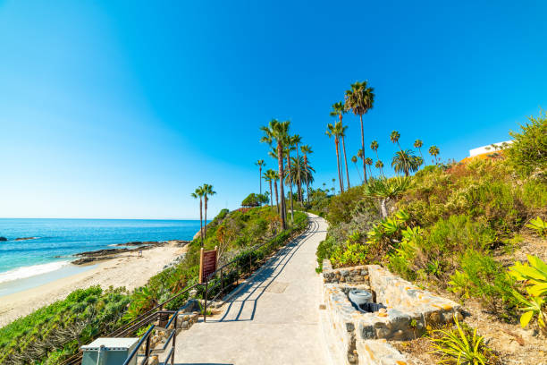 istock Walk path by the sea in Laguna Beach shore 1214764235