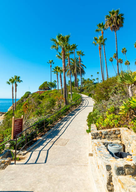 istock Walk path and palm trees by the sea in Laguna Beach shore 1214764706